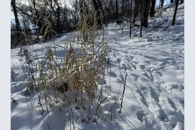 225 Whitetail Lane #28, Deerfield, WI 53531 - Photo 20