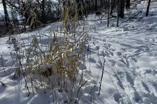 225 Whitetail Ln, Deerfield, WI 53531 - Photo 20