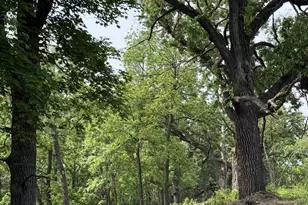 225 Whitetail Ln, Deerfield, WI 53531 - Photo 52