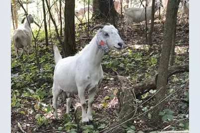 225 Whitetail Lane #28, Deerfield, WI 53531 - Photo 66