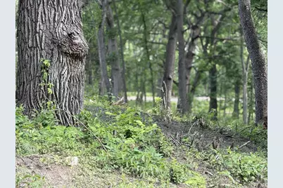 225 Whitetail Lane #28, Deerfield, WI 53531 - Photo 34