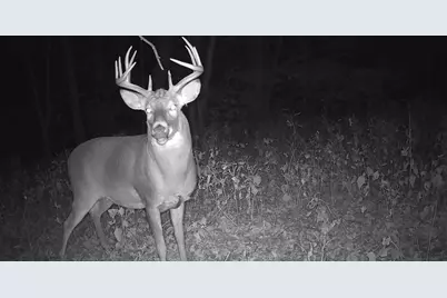 58877 Sudden Valley View Drive, Eastman, WI 54626 - Photo 32