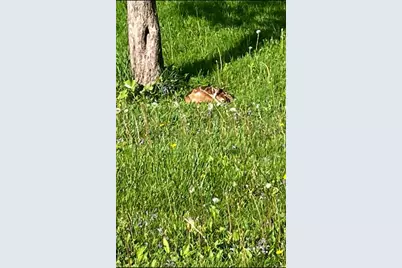 5802 Woodland Drive, Waunakee, WI 53597 - Photo 60