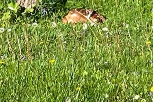 5802 Woodland Dr, Waunakee, WI 53597 - Photo 60