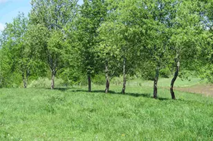 30694 County Rd W, Elroy, WI 53929 - Photo 74