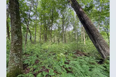 000 US Highway 12, Tomah, WI 54660 - Photo 18