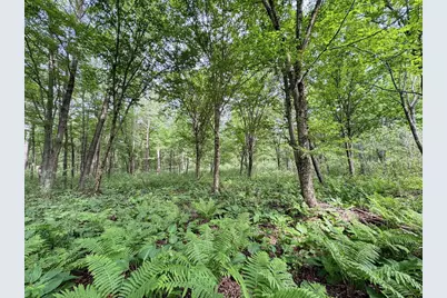 000 US Highway 12, Tomah, WI 54660 - Photo 14