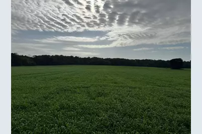 80.68 Acres Fox Hill Road, Baraboo, WI 53913 - Photo 4