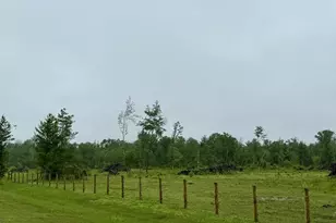 33486 Driftwood Ave, Warrens,warrens, WI 54666 - Photo 54