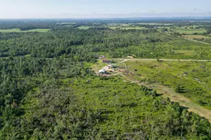 33486 Driftwood Ave, Warrens,warrens, WI 54666 - Photo 62