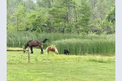 33486 Driftwood Avenue #A, Warrens,warrens, WI 54666 - Photo 42