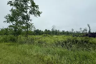 33486 Driftwood Ave, Warrens,warrens, WI 54666 - Photo 58