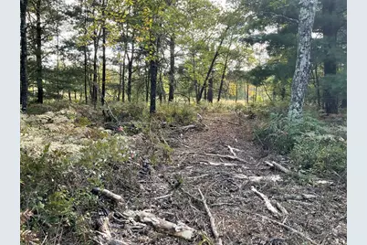 33486 Driftwood Avenue #A, Warrens,warrens, WI 54666 - Photo 70