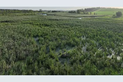 80 M/L Acres Jordan Road, Waterloo, WI 53594 - Photo 22