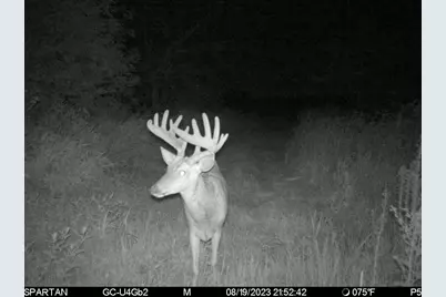 80 M/L Acres Jordan Road, Waterloo, WI 53594 - Photo 78