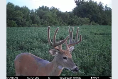 80 M/L Acres Jordan Road, Waterloo, WI 53594 - Photo 74