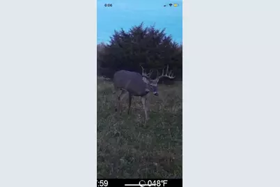 80 M/L Acres Jordan Road, Waterloo, WI 53594 - Photo 72