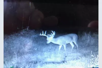 80 M/L Acres Jordan Road, Waterloo, WI 53594 - Photo 82