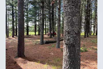 249 Dyke Avenue, Grand Marsh, WI 53936 - Photo 54