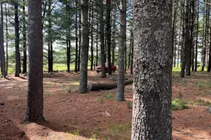 249 Dyke Ave, Grand Marsh, WI 53936 - Photo 54