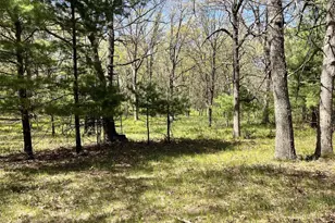 249 Dyke Ave, Grand Marsh, WI 53936 - Photo 68