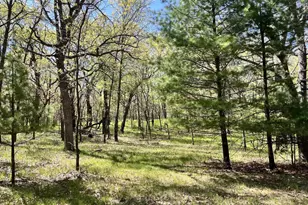 249 Dyke Ave, Grand Marsh, WI 53936 - Photo 66