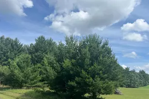249 Dyke Ave, Grand Marsh, WI 53936 - Photo 24