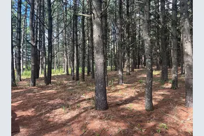 249 Dyke Avenue, Grand Marsh, WI 53936 - Photo 24