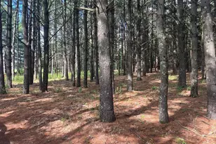 249 Dyke Ave, Grand Marsh, WI 53936 - Photo 24