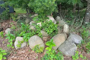 249 Dyke Ave, Grand Marsh, WI 53936 - Photo 44