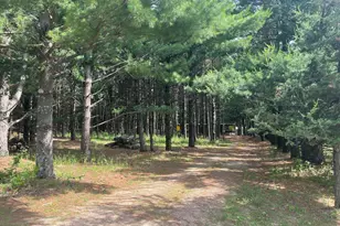 249 Dyke Ave, Grand Marsh, WI 53936 - Photo 20