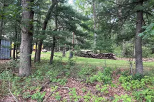 249 Dyke Ave, Grand Marsh, WI 53936 - Photo 46