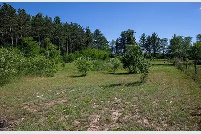 311 Highway 21, Friendship, WI 53934 - Photo 38