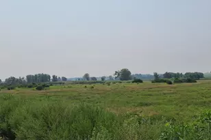 4923 Meek Rd, Arlington, WI 53911 - Photo 44