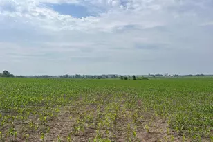 4923 Meek Rd, Arlington, WI 53911 - Photo 14