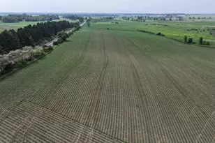 4923 Meek Rd, Arlington, WI 53911 - Photo 22