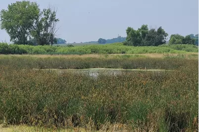 4923 Meek Road, Arlington, WI 53911 - Photo 46