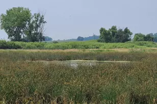 4923 Meek Rd, Arlington, WI 53911 - Photo 46