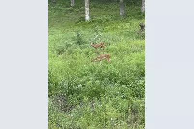 20342 Blackhawk Avenue, Warrens,warrens, WI 54666 - Photo 66