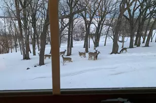 10538 W Erbe Rd, Blue Mounds, WI 53517 - Photo 62