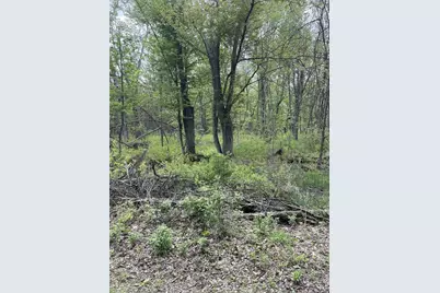 2.8 Ac Deer Run Road, Montello, WI 53949 - Photo 8