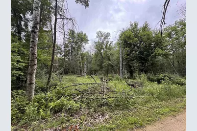 2.8 Ac Deer Run Road, Montello, WI 53949 - Photo 22