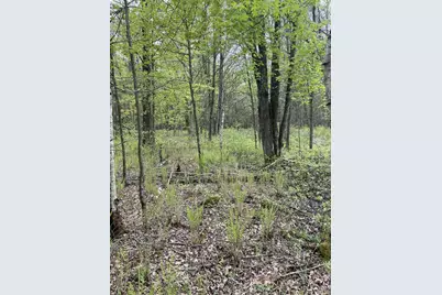 2.8 Ac Deer Run Road, Montello, WI 53949 - Photo 14