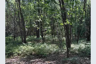 2.8 Ac Deer Run Road, Montello, WI 53949 - Photo 40