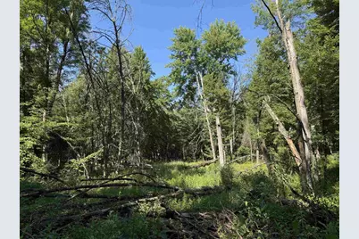 2.8 Ac Deer Run Road, Montello, WI 53949 - Photo 28