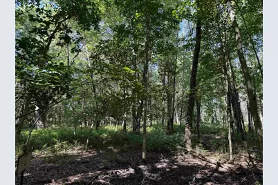 2.8 Ac Deer Run Road, Montello, WI 53949 - Photo 32