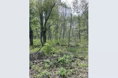 2.8 Ac Deer Run Road, Montello, WI 53949 - Photo 12