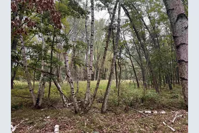 2.8 Ac Deer Run Road, Montello, WI 53949 - Photo 24