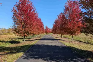 596 Hillcrest Ln, Brooklyn, WI 53521 - Photo 4