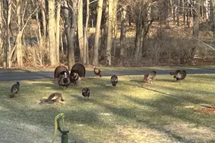 W2948 County Rd C, Montello, WI 53949 - Photo 82